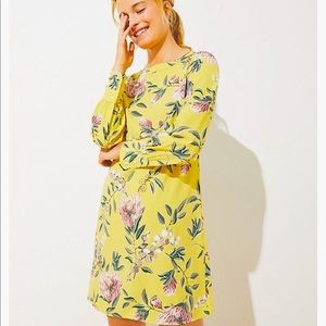 FLORAL BOATNECK SHIFT DRESS IN BRIGHT CELERY
